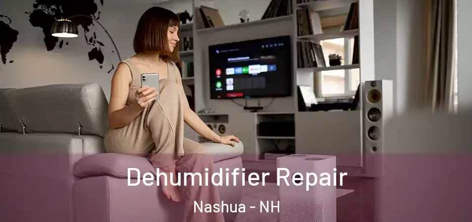Dehumidifier Repair Nashua - NH
