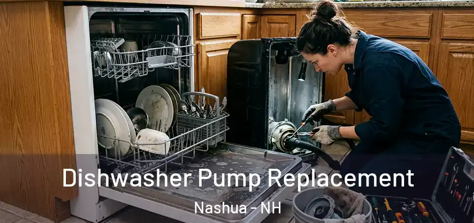  Dishwasher Pump Replacement Nashua - NH