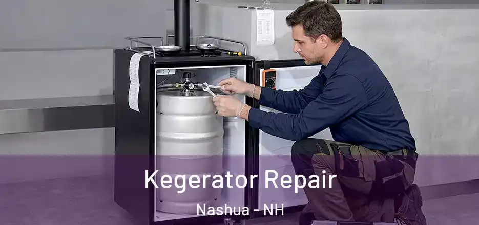 Kegerator Repair Nashua - NH