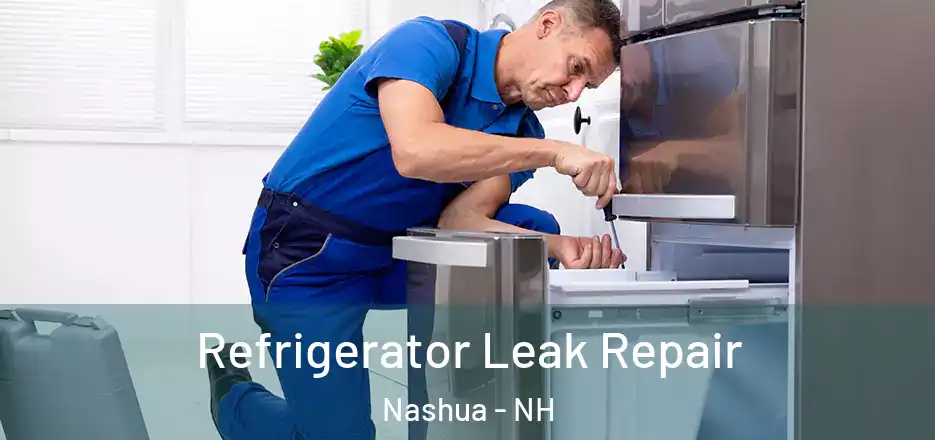 Refrigerator Leak Repair Nashua - NH