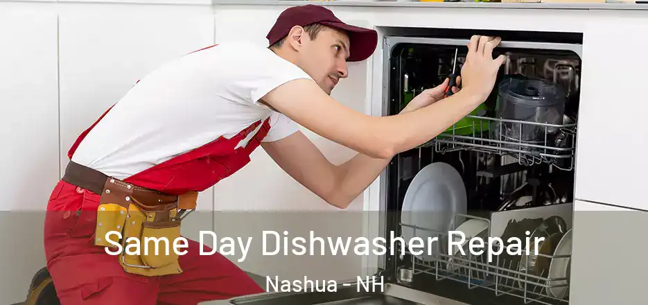 Same Day Dishwasher Repair Nashua - NH